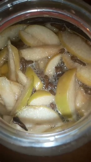 Fermented Apple Drink