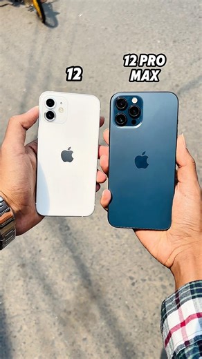 iPhone 12 Vs iPhone 12 Pro Max || Camera Zoom Test! #shorts