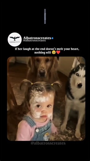 𝘼𝙡𝙗𝙖𝙩𝙧𝙤𝙨𝙨𝙘𝙧𝙚𝙖𝙩𝙚𝙨™ on Instagram: "Wait for the end 🥹 This short clip shows a flour-covered toddler girl in pigtails standing in a messy kitchen, dramatically pointing and accusing her golden retriever and husky of causing the flour disaster with a serious, bossy face. The dogs just sit there looking innocent and confused as she scolds them like a tiny detective, building suspense with her cute stern lecture. Then she suddenly bursts into uncontrollable, infectious giggles, breaki