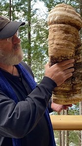 47K views · 2.1K reactions | Paul Stamets discusses strain # 65 of...