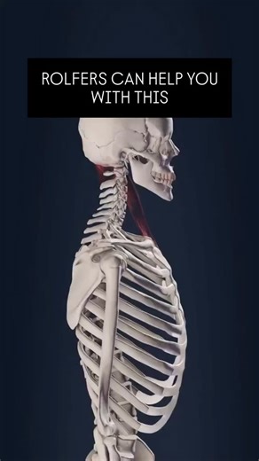 Vermont Rolfing on Instagram: "Rolf.org to find a Certified Rolfer near you #rolfing #fascia #rolfingnearme #neckissues"