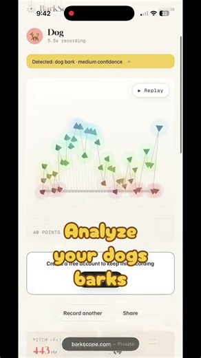 Bark analysis, bark woof meow #barking #dogs #pets