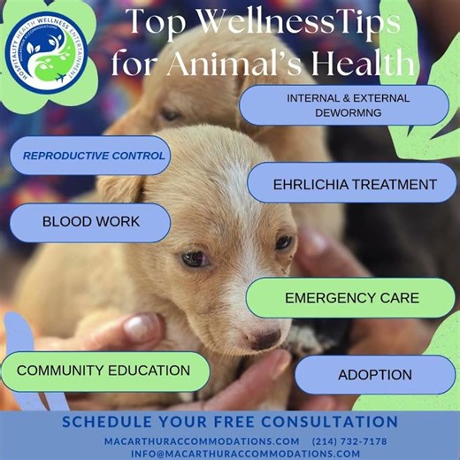 #WellnessWellbeingWednesday#WellnessTipsForAnimalsHealth #AnimalWellness