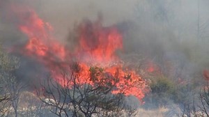 Wildfire spreads near Athens amid scorching temperatures