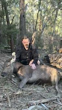 Does a DIY deer call work? Deer said yes. Freezer said thanks 🦌 #sambar #deer