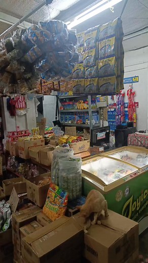 Sari sari store Tour na may Halong Kwentuhan at Motivation! #viralsreelsシ #fbreelsfypシ゚viralfbreelsfypシ゚viral #fbreels2025ツ #fbreelsfypシ゚viralvideo #fbreelsfypシ゚viralシ #fypシ゚viralシfypシ゚ #fypシ゚viralシ #fypageシ #sarisaristorebusiness #sarisaristore | 4s vlogs