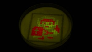 Beautiful Art Made with Bacteria and a Robot