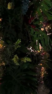 Presenting the GUESS Spring '24 Fashion Show in Mexico City. https://geni.us/GUESSMX #LoveGUESS #GUESSMexico | GUESS