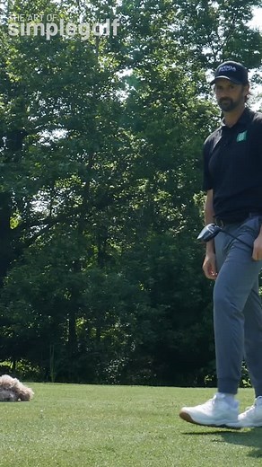 Want more consistent ball striking? Learn from the legendary Arnold Palmer 🏌️‍♂️ with his seemingly aggressive swing, had a powerful secret: he stayed incredibly centered throughout his motion. He called it “staying on top of it,” and it’s a game-changer for consistency. Instead of swaying back, focus on maintaining your central axis (think of keeping your nose relatively still). This helps you maintain a consistent low point in your swing, making it easier to hit the ball first. You’ll still g