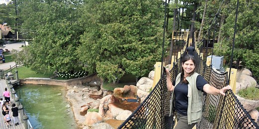 NEW Zoo treetop Canopy Tour opens