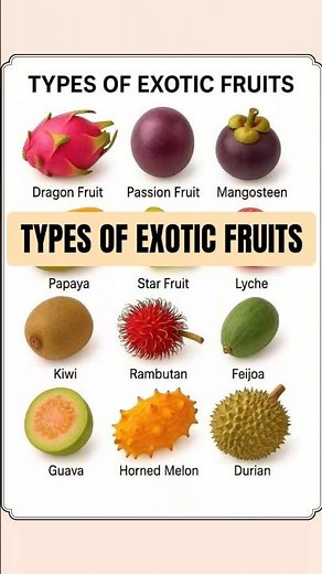🔴 Types of Exotic Fruits in English | Exotic Fruit Names You Should Know