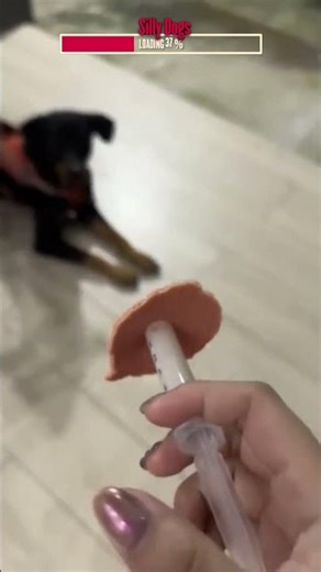 Tricking The Dog With Meat! 🐶 | Algorithm Cleanse