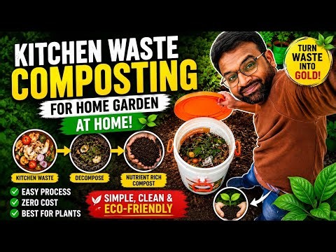 Zero Cost Composting At Home | Terrace Garden Secret!