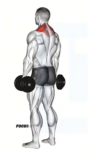 Bigger Traps Fast! Shrug + Upright Row + Face Pull 🔥 #bodybuilding #motivation #delttraining