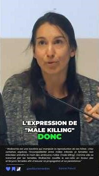 "Male killing" : comment la bactérie Wolbachia élimine les mâles pour favoriser la lignée femelle