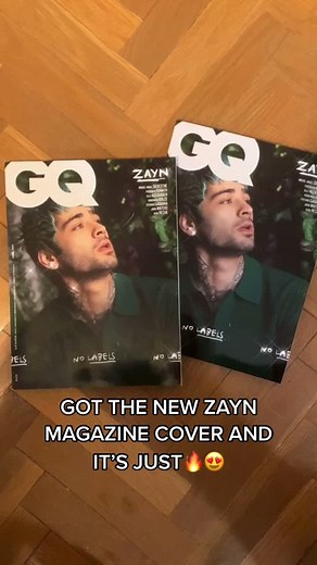 Zayn Malik Fans on TikTok