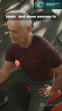 The Continuous Process Of Cellular Turnover In Your Body #biology #facts