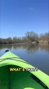 40K views · 182 reactions | Never thought I’d ever see a fish swimming backwards! How is it going that!? #catch #fishing #fishingtrip #fishinglure #fishingislife #hooked #hook #fish #fishhook #fisherman #saltlife | Reel Adventures | Facebook