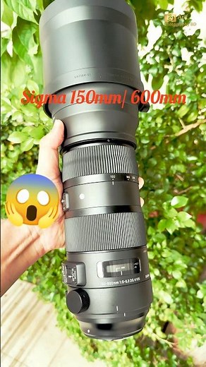 📸 Unboxing My New Sigma 150-600mm Lens | Wildlife Photography Gear #sigma #lens #shorts