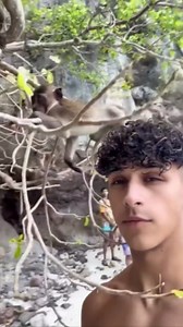 Heartwarming Connections with Wild and Cute Animals