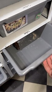 26K views · 10K reactions |  #ballpython #snake #ballpythonsofinstagram #reptiles #snakes | Xclusive ball pythons | Facebook