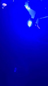 Baltimore feelin' the Avalanche last night 📹👊🤘 | American Mosh Pits