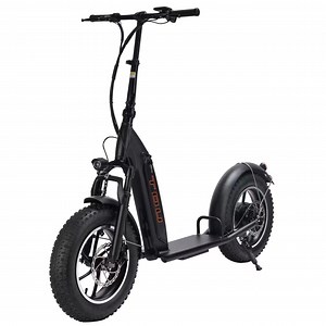 [Hot Item] All Terrain Electric Scooter with 4.0” Tires