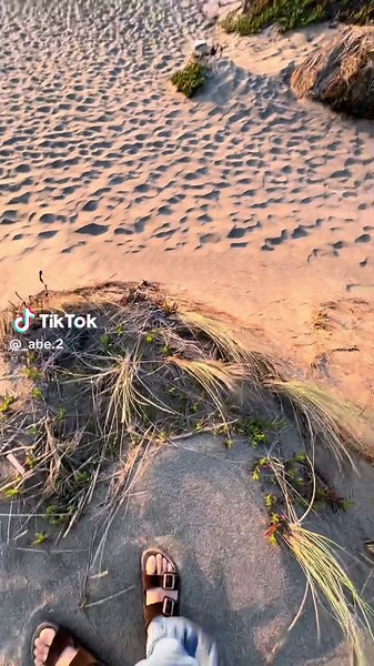 abe (@_abe.2)’s videos with original sound - ❀