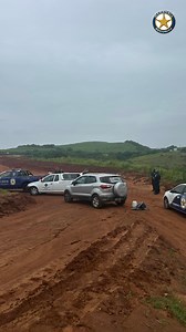 It’s been a few days now, and the community continues to report three strays running on the freeway near Umdhloti This video is a compilation of the effort we went to as Marshall Security together with Safe RESCUE under the D.A.W.N. Association banner | Community News Network TV