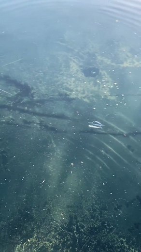 This won’t last long in the water. Website coming soon. #swimbait #swimbaits #bass #bassfishing #bigbass #tackle #largemouthbass #fishing #outdoors