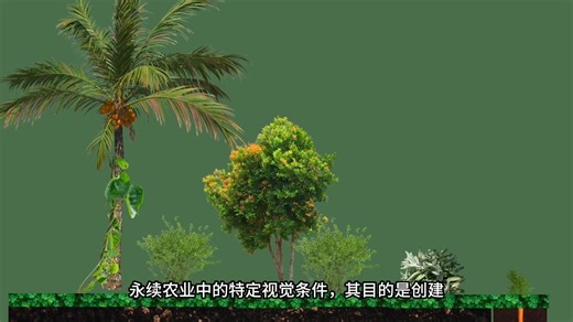 朴门永续-复合农业与永久性农业