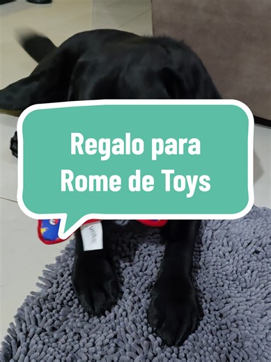 Aaaayyy un regalo para #MiRomeLabrador #vidademamá💙 #RomeoLabrador #jugueteperro #labradorretriever Muchas gracias a @Tiendas TOYS