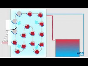 CBF1000 Product flow