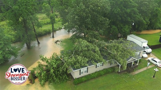 53K views · 448 reactions | Storm Related Tree Strike Nearly Traps...