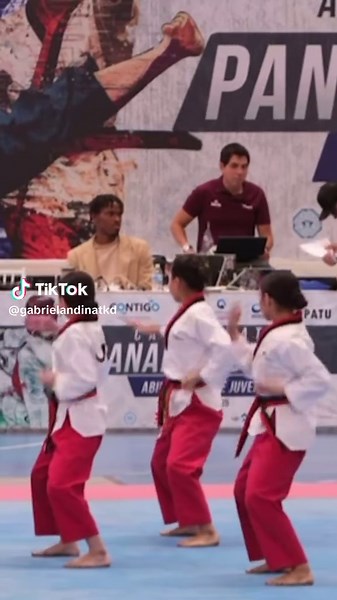 Mastering Taekwondo Techniques: A Guide for Beginners