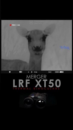 Hunting With the Pulsar Merger LRF – Real Footage & Field Review