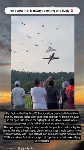 RC Plane STALL LANDING at Festival 😳 #rcairplane #flying #crash