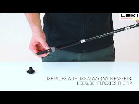 LEKI Service: DSS User Instructions