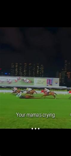 Read Pinned!! 💛#horse #equestrian #equestrianjourney #edit #racehorse #horseracing #horses #roblox