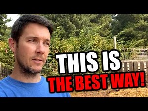 The Best Method for Managing Raspberry Rows