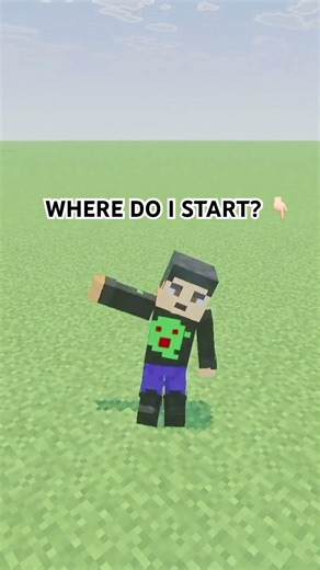 Where Do I Start in Minecraft ?