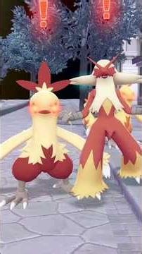 Shiny Alpha Combusken & Shiny Alpha Mega Blaziken✨