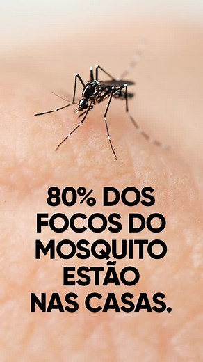 Combata focos da Dengue em casa