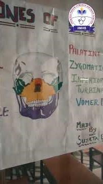 Paramedical Student Chart Showcase – Scapula, Nephron, ER & Skin