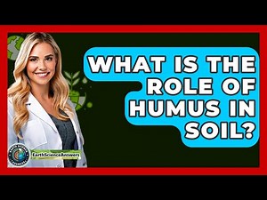 What Is The Role Of Humus In Soil? - Earth Science Answers