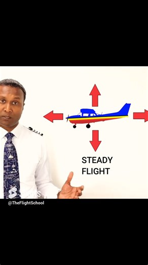 ✈️ Decoding Flight: Forces in Flight Summarized!  Ever wondered...