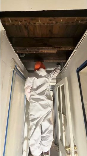 professional Mold Remediation for Water Intrusion NYC #restoration #moldremoval