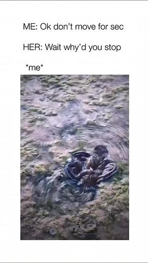💀 follow for more funny content 🤓Please ask your boobs to stop staring at my eyes | Please ask your boobs to stop staring at my eyes