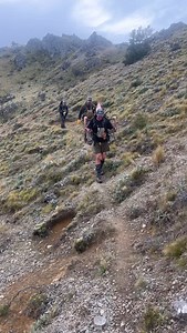 2.4K reactions · 23 shares | Awesome day up in the mountains hunting free range Stags | NZ Wilderness Hunts | Facebook