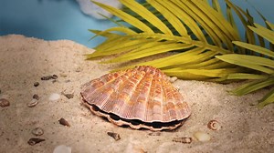 1.3K views · 35 reactions | Go from Sapphire to Pearl with the M life Rewards Mastercard. *Must be 21. Gambling problem? Call 1.800.522.4700 | Beau Rivage Resort & Casino | Facebook